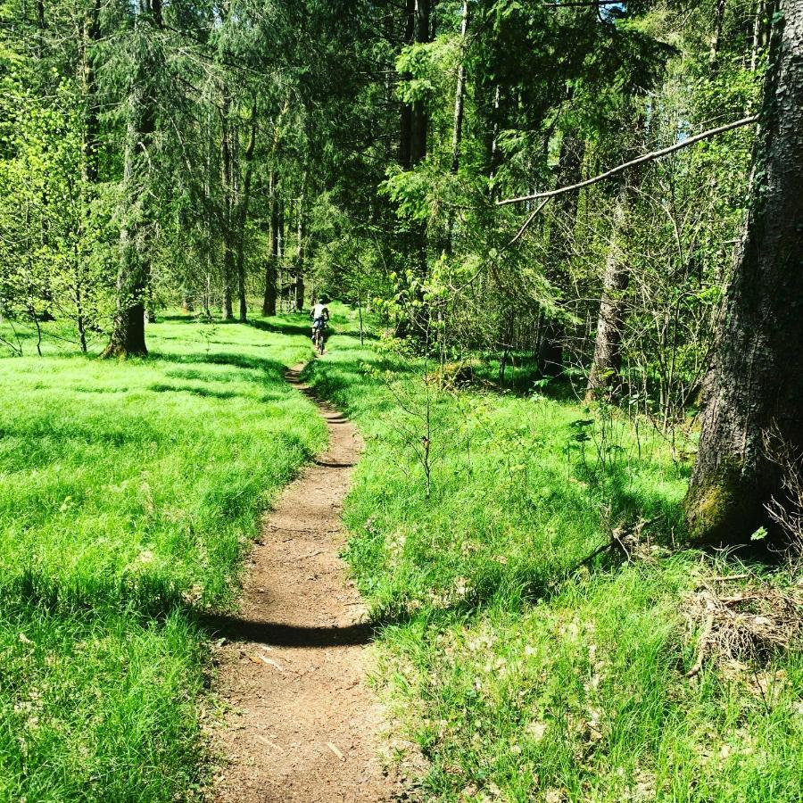 Hjem - Tiny Homes Direkt Am Wald Zwischen Allgaeu & Bodensee Bergatreute Εξωτερικό φωτογραφία