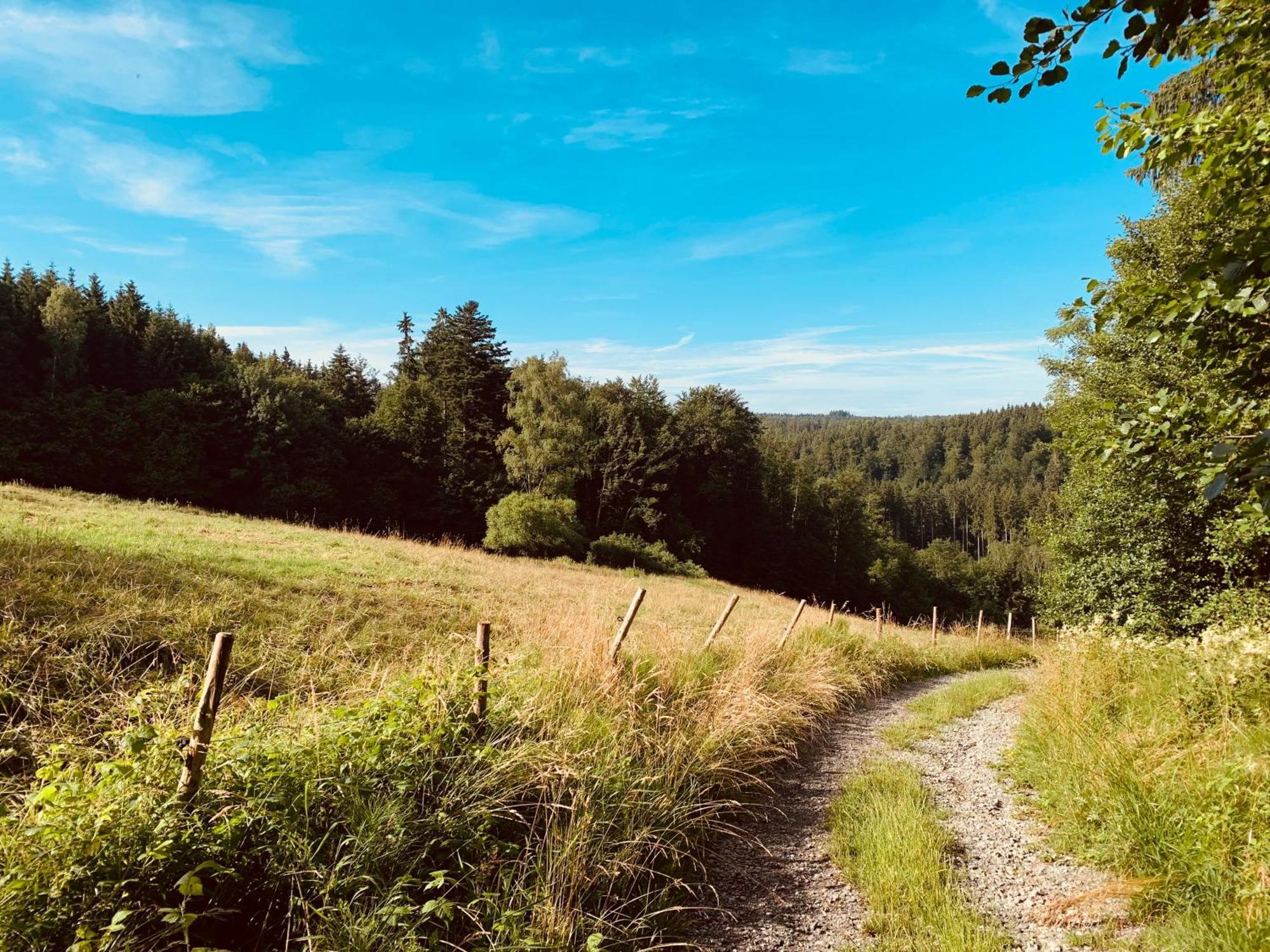 Hjem - Tiny Homes Direkt Am Wald Zwischen Allgaeu & Bodensee Bergatreute Εξωτερικό φωτογραφία
